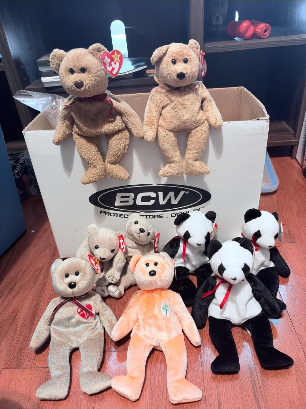 Authentic Original Ty Beanie Babies Plush Bears